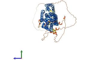 Protein Structure (PS) image for Solute Carrier Family 20 (Phosphate Transporter), Member 2 (SLC20A2) (AA 1-656) protein (His tag) (ABIN7564263)