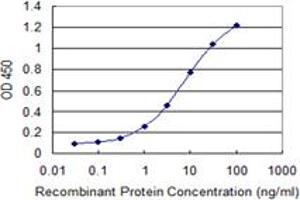 Detection limit for recombinant GST tagged ULK2 is 0. (ULK2 抗体  (AA 743-843))