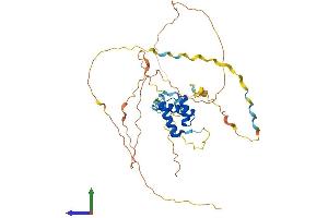 AlphaFold protein structure predicition of Human Recombinant EN1 Protein, UniprotID Q05925