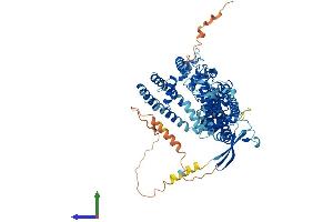 Protein Structure (PS) image for Transient Receptor Potential Cation Channel, Subfamily V, Member 5 (TRPV5) (AA 1-729) protein (His tag) (ABIN7555846)