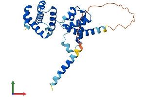 Protein Structure (PS) image for Origin Recognition Complex, Subunit 6 (ORC6) (AA 1-262) protein (His tag) (ABIN7556279)