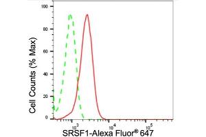 Flow cytometric analysis of SRSF1 expression in HepG2 cells using SRSF1 antibody (ABIN7800305), 1:2,000). (Recombinant SRSF1 抗体)