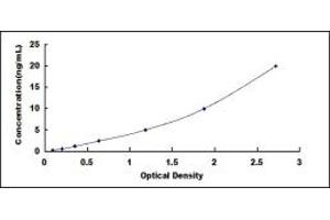 Typical standard curve (Tryptophan Hydroxylase 2 ELISA 试剂盒)