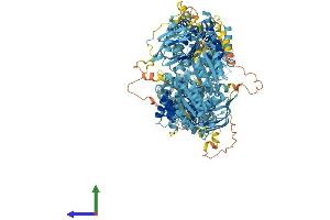 Protein Structure (PS) image for ATP-Binding Cassette, Sub-Family A (ABC1), Member 9 (ABCA9) (AA 1-1624) protein (His tag) (ABIN7551760)