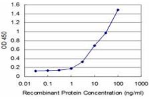Detection limit for recombinant GST tagged IRAK4 is approximately 0. (IRAK4 抗体  (AA 255-351))