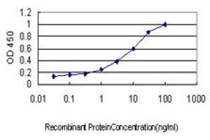 Detection limit for recombinant GST tagged GUCY2D is approximately 0. (GUCY2D 抗体  (AA 521-630))