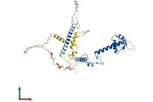 Protein Structure (PS) image for Actin-Binding rho Activating Protein (ABRA) (AA 1-375) protein (His tag) (ABIN7558911)