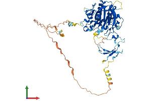 AlphaFold protein structure predicition of Human Recombinant APEX2 Protein, UniprotID Q9UBZ4