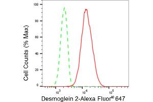 Flow cytometric analysis of Desmoglein 2 expression in HepG2 cells using Desmoglein 2 antibody (ABIN7798317), 1:2,000). (Recombinant Desmoglein 2 抗体)
