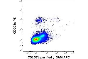 Flow cytometry multicolor surface staining of human anti-IgE antibody stimulated mononuclear cells stained using anti-human CD107b (H4B4) purified antibody (concentration in sample 1,67 μg/mL, GAM APC) and anti-human CD203c (NP4D6) PE antibody (20 μL reagent / 100 μL of peripheral whole blood).