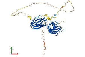 AlphaFold protein structure predicition of Human Recombinant DOC2B Protein, UniprotID Q14184