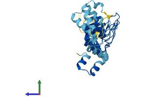 Protein Structure (PS) image for Ankyrin Repeat and SOCS Box Containing 8 (ASB8) (AA 1-288) protein (His tag) (ABIN7552363)