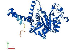Protein Structure (PS) image for Glycerophosphodiester Phosphodiesterase 1 (GDE1) (AA 1-331) protein (His tag) (ABIN7547869)
