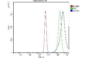 Flow Cytometry analysis of A431 cells using anti-SPHK1 antibody (ABIN7600168).