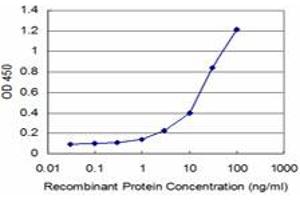 Detection limit for recombinant GST tagged AKT2 is approximately 1ng/ml as a capture antibody. (AKT2 抗体  (AA 100-189))