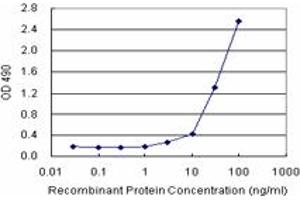 NUMB (Human) Matched Antibody Pair