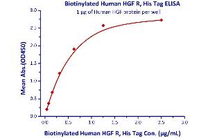 Binding Studies (Bind) image for Met Proto-Oncogene (MET) (AA 25-932) (Active) protein (His tag,AVI tag,Biotin) (ABIN3137684)