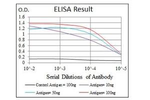 ELISA image for anti-Fibronectin antibody (ABIN1107235) (Fibronectin 抗体)