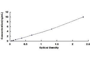 Typical standard curve (Huntingtin ELISA 试剂盒)