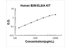 Typical Standard Curve