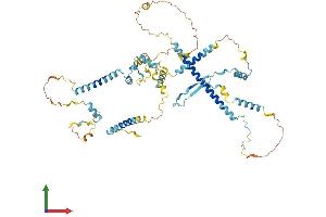 Protein Structure (PS) image for Protein Red (IK) (AA 1-557) protein (His tag) (ABIN7551277)