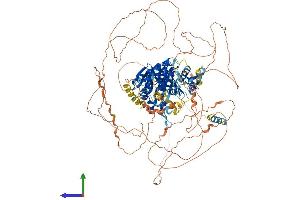 Protein Structure (PS) image for Suppression of Tumorigenicity 5 (ST5) (AA 1-1137) protein (His tag) (ABIN7555617)