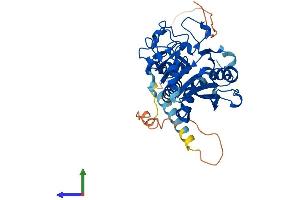 Protein Structure (PS) image for Glycoprotein Galactosyltransferase alpha 1, 3 (GGTA1) (AA 1-394) protein (His tag) (ABIN7562977)