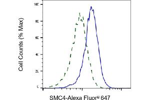 Validation of SMC4 knockdown using flow cytometry. (Recombinant SMC4 抗体)