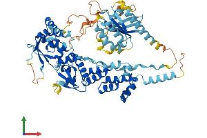 Protein Structure (PS) image for rho-Related BTB Domain Containing 3 (RHOBTB3) (AA 1-611) protein (His tag) (ABIN7560641)