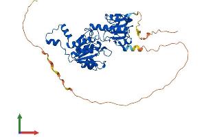 Protein Structure (PS) image for C-terminal Binding Protein 1 (CTBP1) (AA 1-440) protein (His tag) (ABIN7546846)