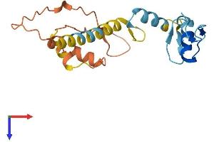 AlphaFold protein structure predicition of Human Recombinant ZNF542P Protein, UniprotID Q5EBM4