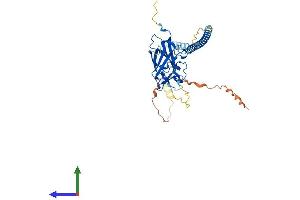 Protein Structure (PS) image for Sad1 and UNC84 Domain Containing 5 (SUN5) (AA 1-373) protein (His tag) (ABIN7561202)