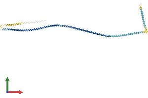 Protein Structure (PS) image for Coiled-Coil Domain Containing 89 (CCDC89) (AA 1-370) protein (His tag) (ABIN7561210)