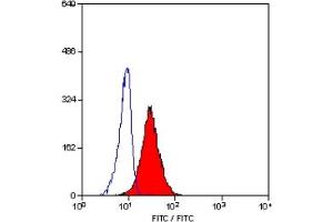 Staining of human peripheral blood granulocytes with MOUSE ANTI HUMAN CD10 (ABIN119107). (MME 抗体)