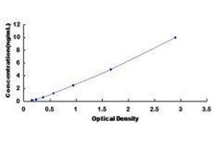 Interferon Regulatory Factor 5 (IRF5) ELISA Kit