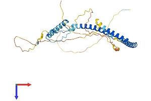 HEXIM2 Protein (AA 1-313) (His tag)