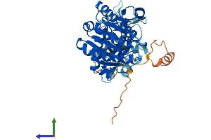 Protein Structure (PS) image for WW Domain Containing Oxidoreductase (WWOX) (AA 1-414) protein (His tag) (ABIN7556052)