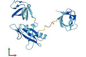 Protein Structure (PS) image for GRB2-Related Adaptor Protein (GRAP) (AA 1-217) protein (His tag) (ABIN7548046)