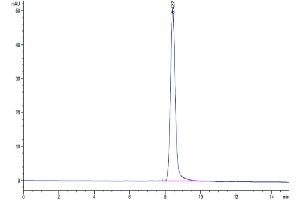 Size-exclusion chromatography-High Pressure Liquid Chromatography (SEC-HPLC) image for Antigen P97 (Melanoma Associated) Identified By Monoclonal Antibodies 133.2 and 96.5 (MFI2) (AA 20-709) protein (His tag) (ABIN7275252)
