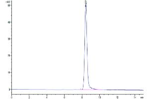 The purity of Human CD228 is greater than 95 % as determined by SEC-HPLC. (MFI2 Protein (AA 20-709) (His tag))