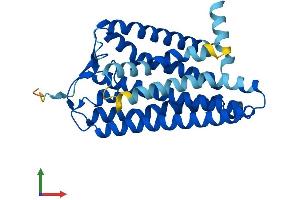 Protein Structure (PS) image for Olfactory Receptor, Family 52, Subfamily A, Member 1 (OR52A1) (AA 1-312) protein (His tag) (ABIN7550055)