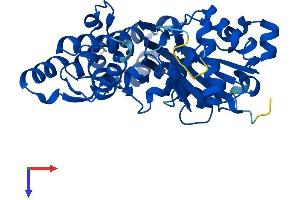 AlphaFold protein structure predicition of Human Recombinant POTEKP Protein, UniprotID Q9BYX7
