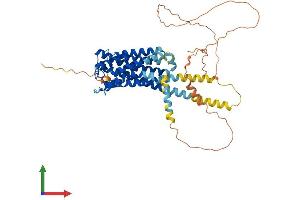 Protein Structure (PS) image for Prostaglandin E Receptor 4 (Subtype EP4) (PTGER4) (AA 1-488) protein (His tag) (ABIN7550675)