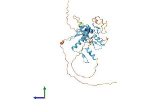 Protein Structure (PS) image for Zinc Finger Protein 784 (ZNF784) (AA 1-323) protein (His tag) (ABIN7545357)
