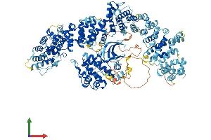Protein Structure (PS) image for Unc-51-Like Kinase 4 (ULK24) (AA 1-1275) protein (His tag) (ABIN7555965)