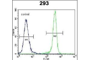 Flow Cytometry (FACS) image for anti-Isocitrate Dehydrogenase 1 (NADP+), Soluble (IDH1) (AA 116-143) antibody (ABIN391660)