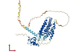 AlphaFold protein structure predicition of Human Recombinant NR5A1 Protein, UniprotID Q13285