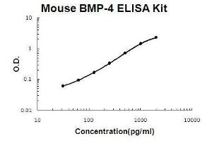 Mouse BMP-4 PicoKine ELISA Kit standard curve (BMP4 ELISA 试剂盒)