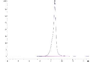 The purity of Human CD1A is greater than 95 % as determined by SEC-HPLC.