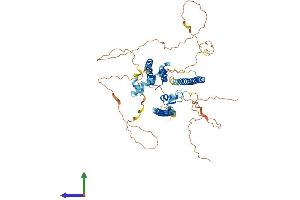 AlphaFold protein structure predicition of Mouse Recombinant Cbfa2t2 Protein, UniprotID O70374
